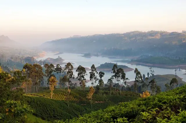 Tailor Made Holidays & Bespoke Packages for Ceylon Tea Trails